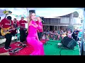 Download Lagu DK LIVE MUSIC - BENANG BIRU - EVIS RENATA  WEDDING FIKRI \u0026 ICHA KALIPUCANGKULON WELAHAN JEPARA