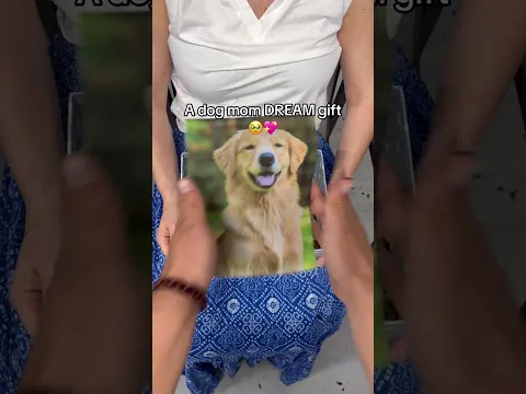 I love this ❤️🐶 #dogs #dogloss #dogsoftiktok #giftideas #pets