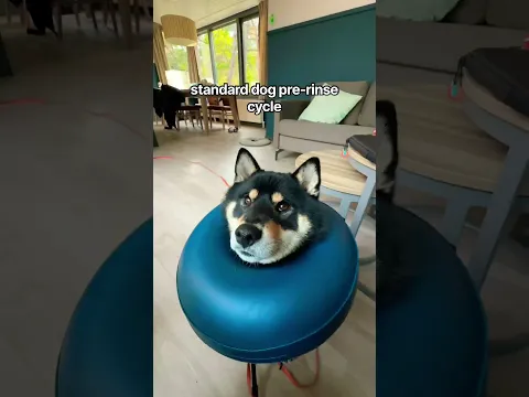 HE IS CLEAN 🧽