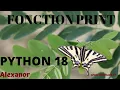 Programmation Python - fonction print et ses parametres