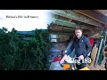 Download Lagu BIG news for the channel, and getting the farm ready for improvements