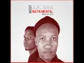 The Whistle Dancer (Original Mix)