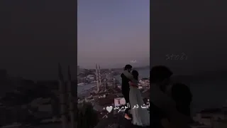 أنت حبي الوحيد 