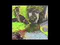 Clams Casino-Gorilla