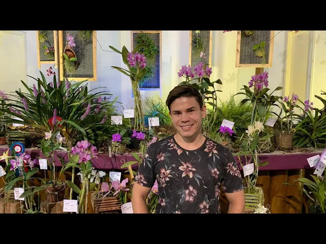 AS ORQUÍDEAS MAIS LINDAS!!! EXPOSIÇÃO
