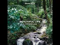 Beautiful Life (feat. Kathryn Aria) - Richie Spice