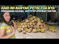 Lagu Redi lagi tapi hanya sedikit, kebanyakan petik tua.