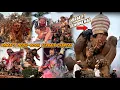 Download Lagu MERIAH ‼️  Pawai 7 Ogoh Ogoh Terbaik Gianyar 2025 Di HUT Kota Gianyar Ke 254