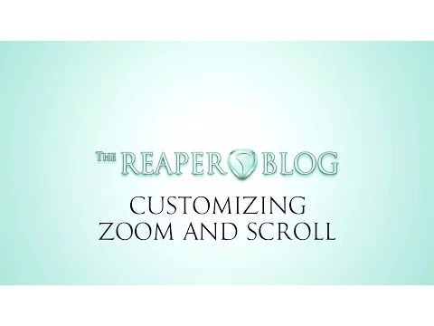 Customizing Zoom and Scroll in REAPER