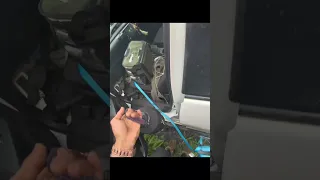                دندنها
