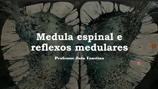 Vídeo aula MEDULA ESPINAL e REFLEXOS MEDULARES
