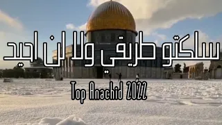 سلكت طريقي ولا لن أحيد أنشودة حزينه 