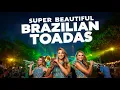 Super Beautiful Brazilian Toadas Melodies (acoustic guitar \u0026 Accordion)