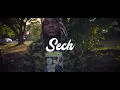 Sech - Miss Lonely [Official Video]