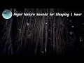 Download Lagu Suara Malam Hari di Hutan | Suara Jangkrik, Tokek, Suara Burung malam | Night Sounds Ambience