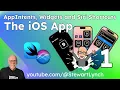 MyTallies Widgets AppIntents SiriShortcuts Part 1 iOS App