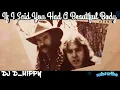 Download Lagu Dj D_Hippy - If I Said You Had A Beautiful Body Remix 2025
