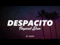 Download Lagu Despascito TropicalDem (DJ MONS)