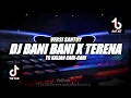 DJ BANI BANI X TERENA VERSI SANTUY🎶REMIX 2022🔊BY FERNANDO BASS