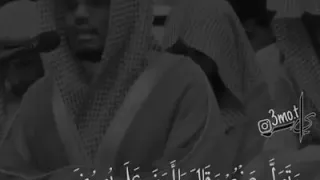 وتولى عنهم وقال يا اسفى على يوسف خشوع وترتيل من الشيخ ياسر الدوسري 