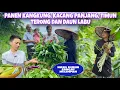 Download Lagu PANEN 5 MACAM SAYURAN DIKEBUN, KARENA TIKA SELURUH KELUARGA JADI DOYAN MAKAN KANGKUNG