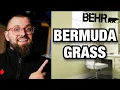 This Paint Color is a MUST-TRY Behr Paint Color Review