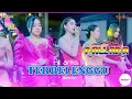 Lagu TERBELENGGU voc all artis || New pallapa Live Perum Pinang Mas Tegal