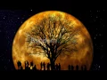King Harvest - Dancing in the Moonlight (Johnny Lectro Remix with Lyrics)