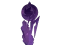Who is Pink Diamond Wiki s Rambling Theories