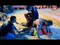 Download Lagu SAAT SAAT MENEGANGKAN‼️INCLING BUDI SARWO BEKSO LIVE JERUK PURUT KALIHARJO