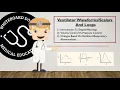 Mechanical Ventilation Basics - Press Flow Volume Loops Clinical Medicine