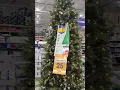 Christmas Trees on Clearance
