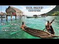 Download Lagu Alsi - Tenes