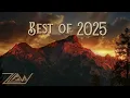 ZLaw - Best of 2025 (Multi-Genre EDM Mix)