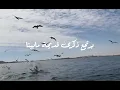 حسين الجسمي اتكلم كل يوم يومين (بدون موسيقى) 🤍✨