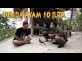 Download Lagu AKAL PITIK || FILM PENDEK #CINGIRE