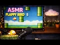 asmr flappy bird programming with python
