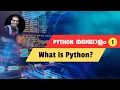 What is Python Why it is so Popular Python Tutorial