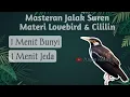 Lagu Masteran Burung Jalak Suren, Materi Lovebird \u0026 Cililin || 1 Menit Bunyi, 1 Menit Jeda