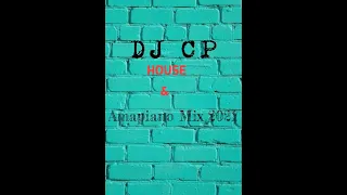 sa house u0026 amapiano mix 2021 feb
