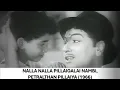 Lagu Nalla Nalla Pillaigalai Nambi, Petralthan Pillaiya (1966)