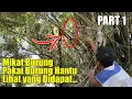 Download Lagu WOOW... MIKAT BURUNG DI TENGAH KUBURAN PAKAI BURUNG HANTU, LIHAT BURUNG APA SAJA YANG DIDAPAT....