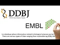 3 Nucleotide Databases