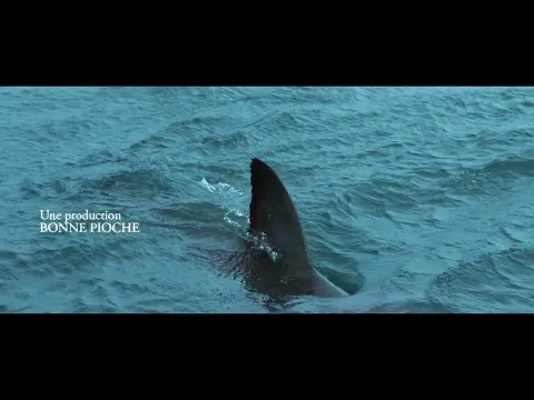 AU PLUS PRÈS DES REQUINS - Extrait