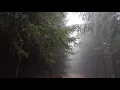 10 Hours of Rain Sound Relaxation / Ultimate Stress Relief, Deep Sleep, Meditation, Yoga,...