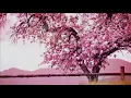 Relaxing Piano Music: Sleep Music, Relaxing Music, Soft Sleeping Music, Fall Asleep ★129