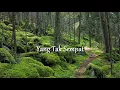 Download Lagu Ari Reda - Aku Ingin Lirik Video