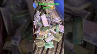 Revealed My Piggy Bank L Start Savings And Be Control 