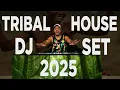 Download Lagu Tribal House DJ Set by TAYRI | 2025