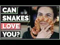 Can snakes love their owners